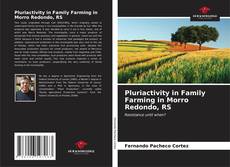 Pluriactivity in Family Farming in Morro Redondo, RS kitap kapağı