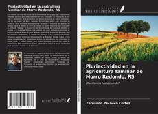 Bookcover of Pluriactividad en la agricultura familiar de Morro Redondo, RS