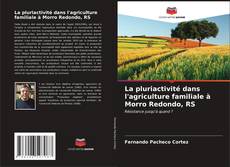 La pluriactivité dans l'agriculture familiale à Morro Redondo, RS kitap kapağı