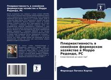 Buchcover von Плюриактивность в семейном фермерском хозяйстве в Морро Редондо, РС