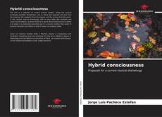 Capa do livro de Hybrid consciousness 