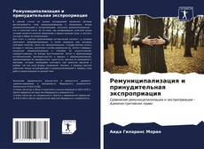 Buchcover von Ремуниципализация и принудительная экспроприация