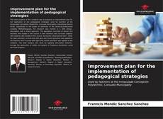 Improvement plan for the implementation of pedagogical strategies kitap kapağı