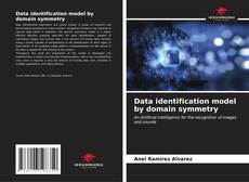 Capa do livro de Data identification model by domain symmetry 