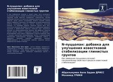 Buchcover von N-пуццолан: добавка для улучшения известковой стабилизации глинистых грунтов