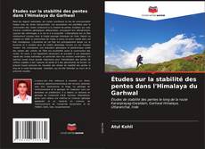 Buchcover von Études sur la stabilité des pentes dans l'Himalaya du Garhwal