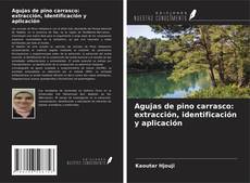 Обложка Agujas de pino carrasco: extracción, identificación y aplicación
