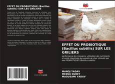 Обложка EFFET DU PROBIOTIQUE (Bacillus subtilis) SUR LES GRILIERS