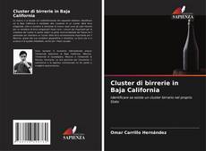 Buchcover von Cluster di birrerie in Baja California