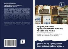Buchcover von Формирование предпринимательского посевного ложа