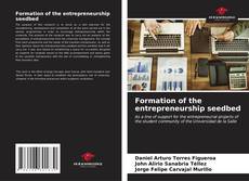 Formation of the entrepreneurship seedbed kitap kapağı