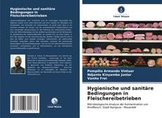 Bookcover of Hygienische und sanitäre Bedingungen in Fleischereibetrieben
