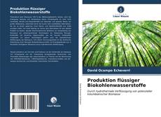 Produktion flüssiger Biokohlenwasserstoffe的封面