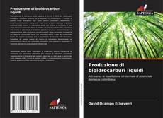 Portada del libro de Produzione di bioidrocarburi liquidi