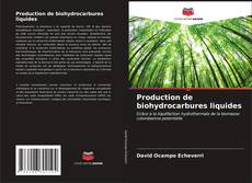 Buchcover von Production de biohydrocarbures liquides