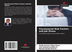 Buchcover von Psychosocial Risk Factors and Job Stress