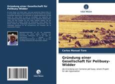 Обложка Gründung einer Gesellschaft für Pelibuey-Widder