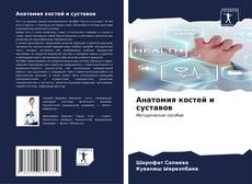 Bookcover of Анатомия костей и суставов