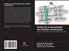 Buchcover von Étude de la dynamique des fluides numériques