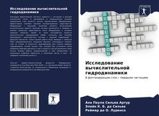 Capa do livro de Исследование вычислительной гидродинамики 