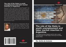 The role of the State in youth unemployment and labor market insertion in Argentina kitap kapağı