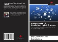 Convergence of Disciplines in Job Training kitap kapağı