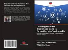 Capa do livro de Convergence des disciplines dans la formation professionnelle 