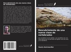 Bookcover of Descubrimiento de una nueva clase de vertebrados