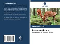 Pastorales Bohren kitap kapağı