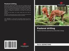 Pastoral drilling kitap kapağı
