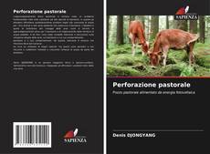 Buchcover von Perforazione pastorale