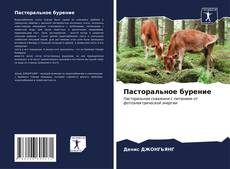 Capa do livro de Пасторальное бурение 