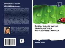 Buchcover von Экологически чистое производство и энергоэффективность