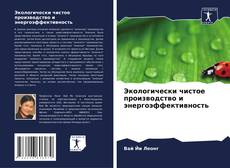 Экологически чистое производство и энергоэффективность kitap kapağı