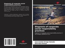 Capa do livro de Diagnosis of corporate social responsibility practices 