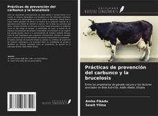 Bookcover of Prácticas de prevención del carbunco y la brucelosis