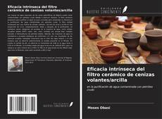 Bookcover of Eficacia intrínseca del filtro cerámico de cenizas volantes/arcilla