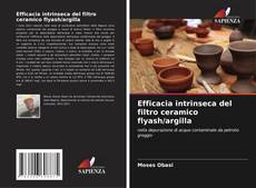 Efficacia intrinseca del filtro ceramico flyash/argilla kitap kapağı