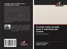 Buchcover von Il sorgo come cereale sano e nutriente per l'uomo