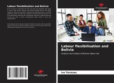 Capa do livro de Labour flexibilisation and Bolivia 