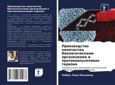 Bookcover of Производство наночастиц биологическими организмами и противоопухолевая терапия