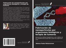 Bookcover of Fabricación de nanopartículas por organismos biológicos y terapia de tumores
