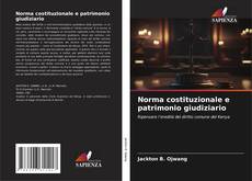 Bookcover of Norma costituzionale e patrimonio giudiziario