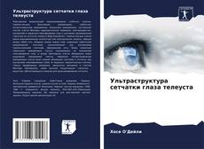 Bookcover of Ультраструктура сетчатки глаза телеуста