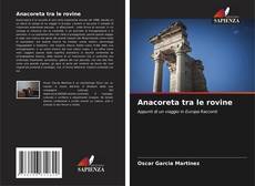 Buchcover von Anacoreta tra le rovine