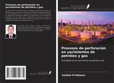 Bookcover of Procesos de perforación en yacimientos de petróleo y gas