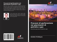 Bookcover of Processi di perforazione nei giacimenti di petrolio e gas