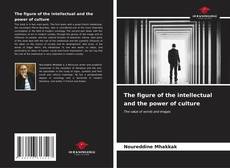 Bookcover of The figure of the intellectual and the power of culture
