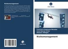 Capa do livro de Risikomanagement 