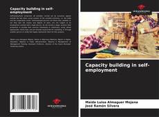 Bookcover of Capacity building in self-employment